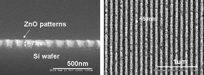 Sol-gel법과 NIL을 이용하여 제작한 ZnO 패턴의 SEM 사진