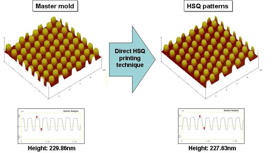 마스터 몰드와 전사된 HSQ 패턴의 AFM 사진