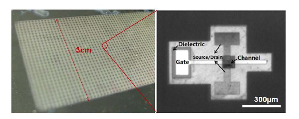 Quartz 기판 위에 형성한 TFT 소자의 사진(좌)과 광학 현미경 사진(우)