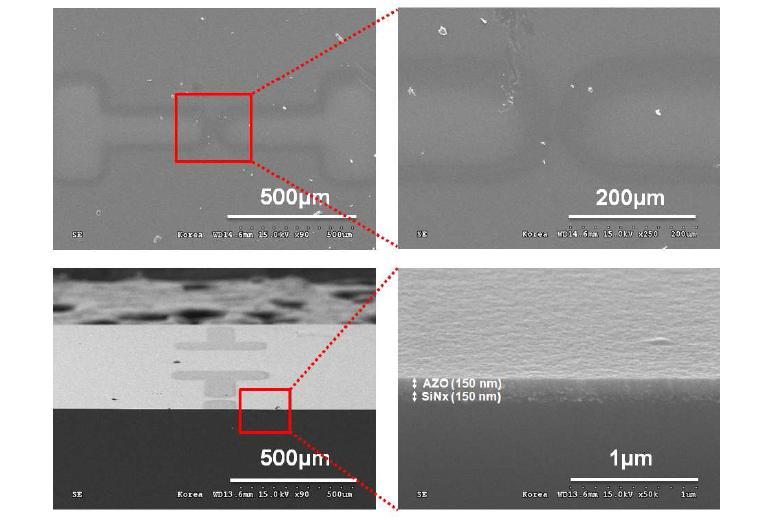 p++ Si 기판 위에 제작한 TFT 소자의 SEM 사진