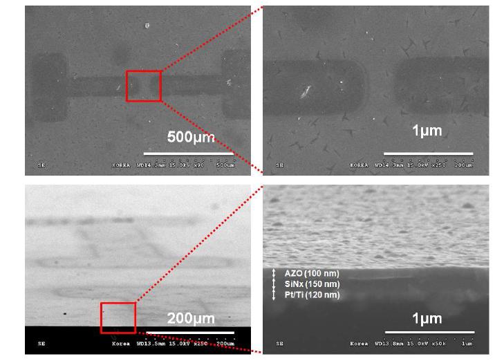 Pt를 gate로 사용한 TFT 소자의 SEM 사진