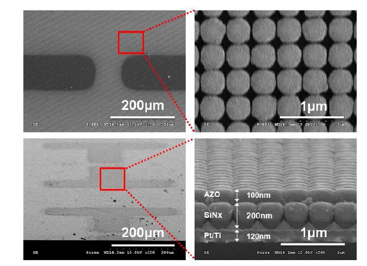 나노 패턴이 형성 된 Si 기판을 이용하여제작한 TFT 소자의 SEM 사진