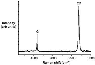 Graphene이 형성 된 PVC 필름의 Raman spectroscopy 분석 그래프