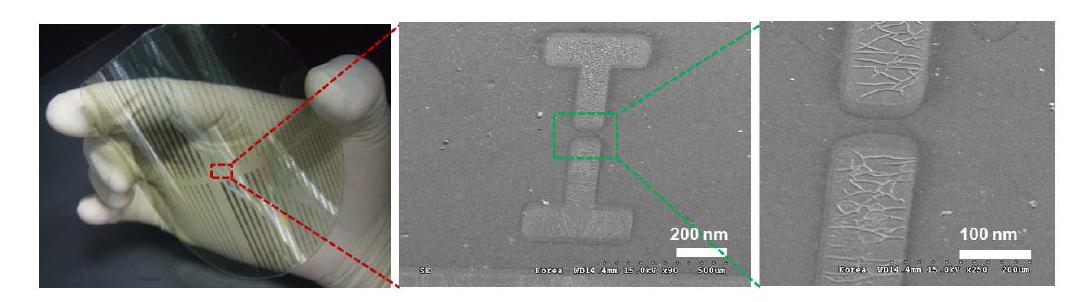 제작한 고분자 기판 기반의 고성능 TFT 소자의 디지털 이미지와 SEM 이미지