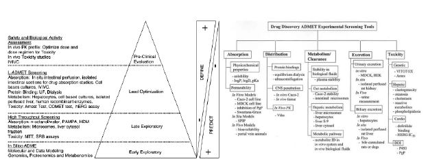그림 10. Drug discovery 단계에서 활용되는 DMPK 시험계