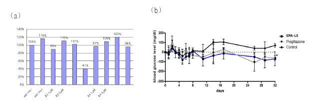 그림 6. (a) SPA 화합물들의 인슐린 유사 효능 (b) db/db mice에서의 혈당 수치로 살펴본 SPA-L3의 체내 효능