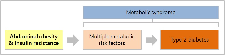 그림 7. 대사 증후군의 진행