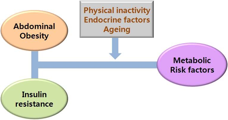 그림 9. 대사성증후군의 주요 인자