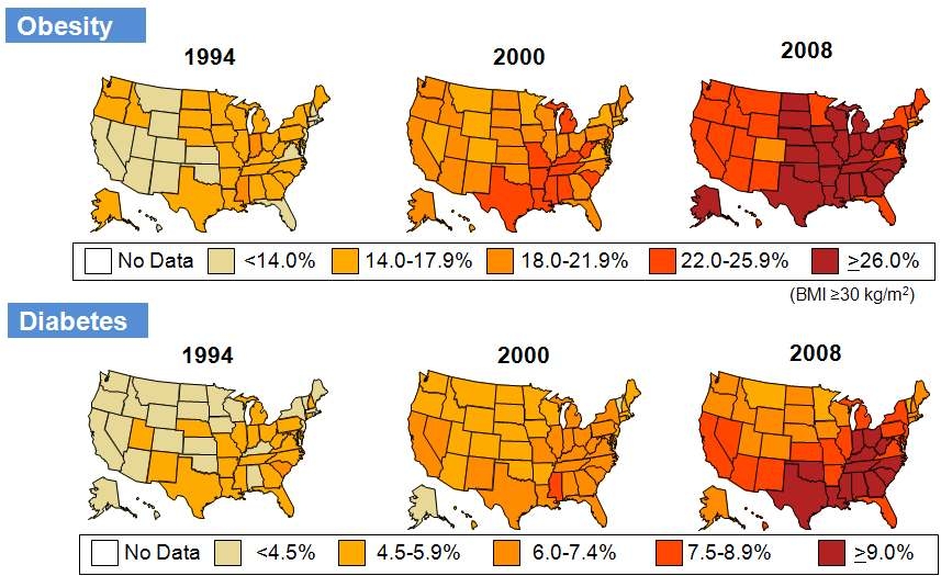 그림 4. 미국 성인 인구의 비만과 당뇨병 유병율의 관련성