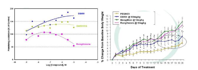 그림 15. DB959의 골격근 세포에서 지방 산화 및 체중 증가 비교 데이터
