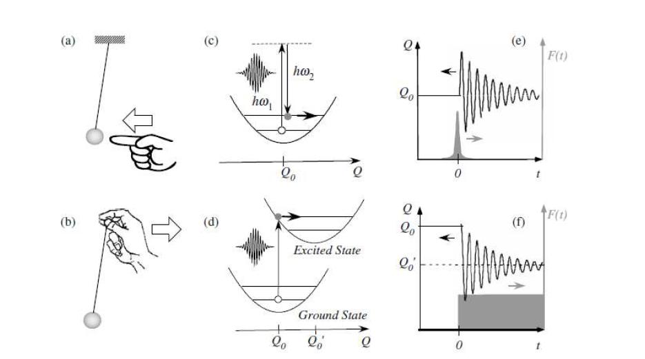 결맞은 광학적 포논의 두가지 생성 모델. (a), (c), (e) 순간 자발 라만 산란 (ISRS). (b), (d), (f) 결맞은 포논의 변위형 여기 (DECP).