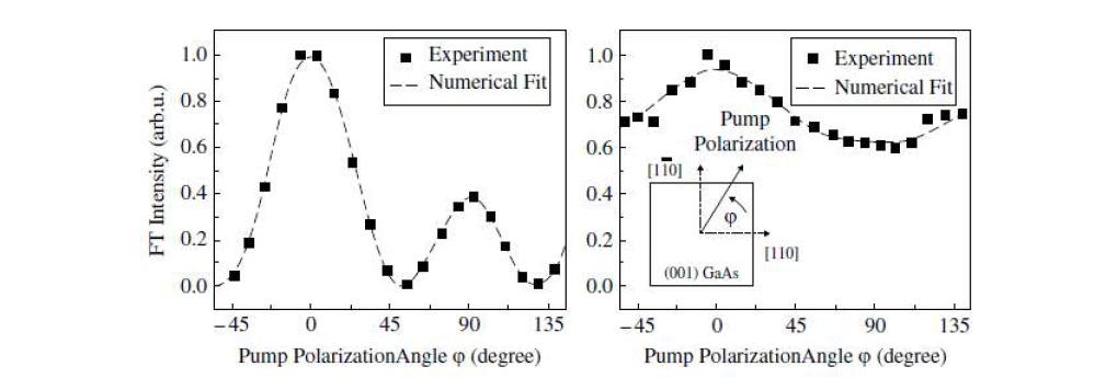 GaAs/Al0.36Ga0.64As MQW에 대한 여기 편광각  함수와 같은 결맞은포논의 푸리에 변환 (FT) 세기