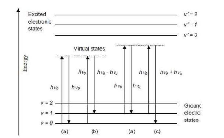 Rayleigh 및 Raman 산란의 에너지 준위도