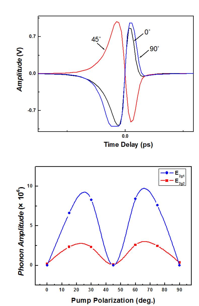 여기광의 편광각 변화에 의한 영점 지연의 위상 반전 (phase shift) (위)과 그에 따른 포논 진폭의 편광의존도 (아래)