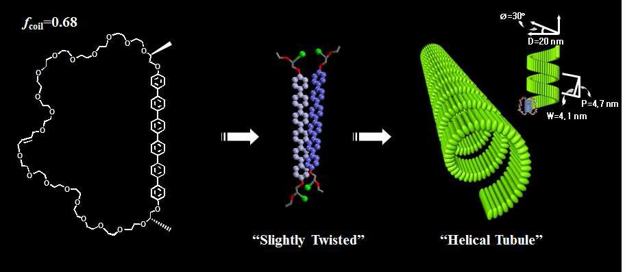 Chiral unit을 포함한 분자가 형성하는 helical 나노 리본