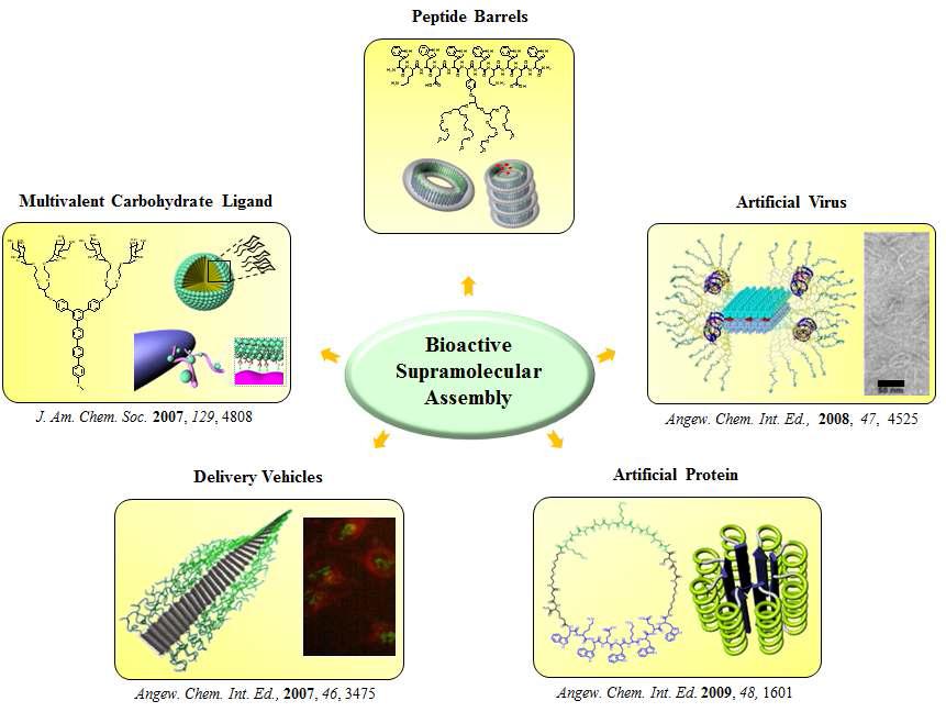 탄수화물 혹은 펩타이드로 구성된 생체 활성 나노 조립체