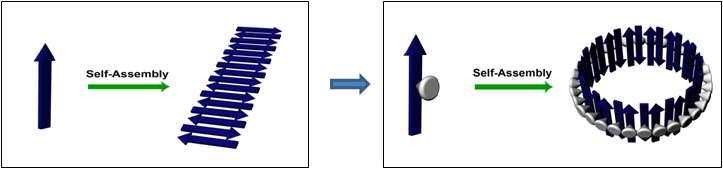 Self-assembly of T-shaped molecule into nano-barrel