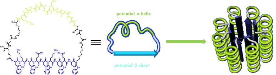 알파나선구조(a-helix)로 코팅된 supramolecular nanostructures