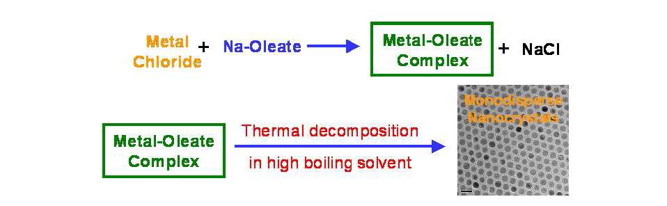 금속-계면활성제 착화합물의 열분해를 통한 균일한 나노결정 합성 공정