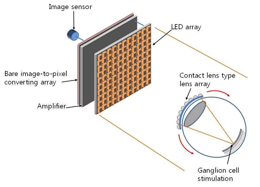 망막절 세포 자극을 위한 64X64 LED array 외부 자극 장치 개념도