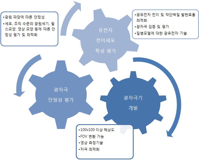 외부 광학 장치 개발 및 이를 이용한 망막보철을 위한 ex-vivo/in-vitro 검증 및 검증 장치 개발 과제 추친 체계