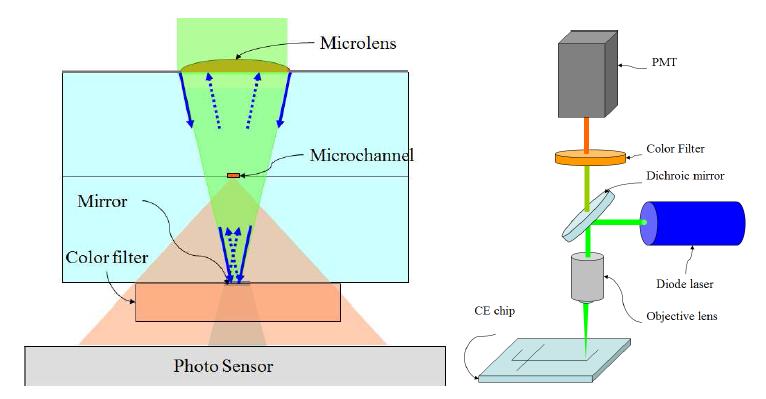 형광측정시의 여기광에 의한 오차를 최소화하기 위한 마이크로 광학계