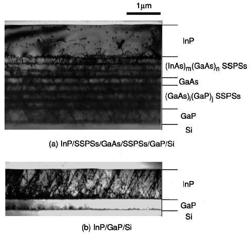 TEM images of (a) the InP/SSPSs/GaAs/SSPSs/GaP/Si structure and (b) the InP/GaP/Si structure. A large number of threading dislocations were generated from the InP/GaP interface in the InP/GaP/Si structure.