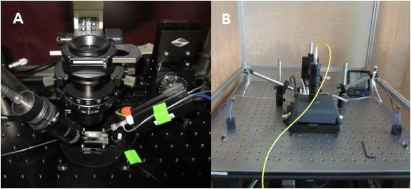 in-vitro/in-vivo 신경 신호 검출 시스템. A, Patch clamp B. MEA system