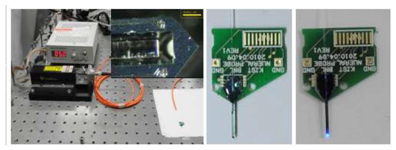 광섬유가 집적된 광자극용 신경전극과 광조사 사진