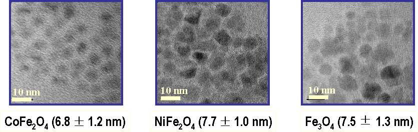 Electron microscopic findings of magnetic nanoparticles(MNP)