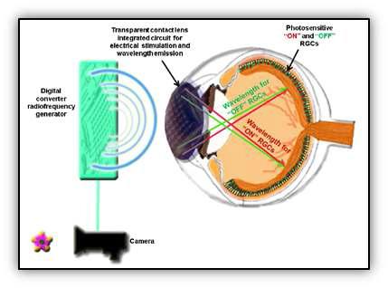 인공시력을 재현하기 위한 광유전학 방법의 개념도