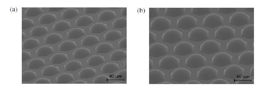 렌즈길이가 약 25~30 um인 벌집모양의 마이크로렌즈 어레이 (Fill factor ~ 0.6)