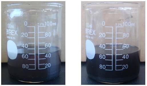 silica 코팅을 위한 전처리 과정: (a) Ni 나노입자와 MPTS의 혼합물 (b) 3시간 초음파 처리한 후의 Ni 나노입자와 MPTS의 혼합물