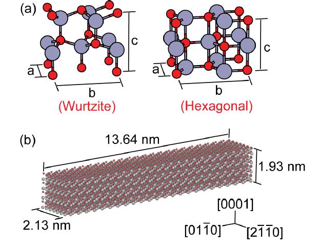 (a) 평형상태에서 Wurtzite 및 Hexagonal 구조의 ZnO 모형도 (b) 실험에 사용된 ZnO 나노와이어 시편의 모형도