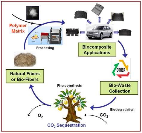 Life cycle of green composites and their reduction of carbon dioxide in nature.