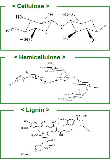 Chemical structures of cellulose-based natural fibers.