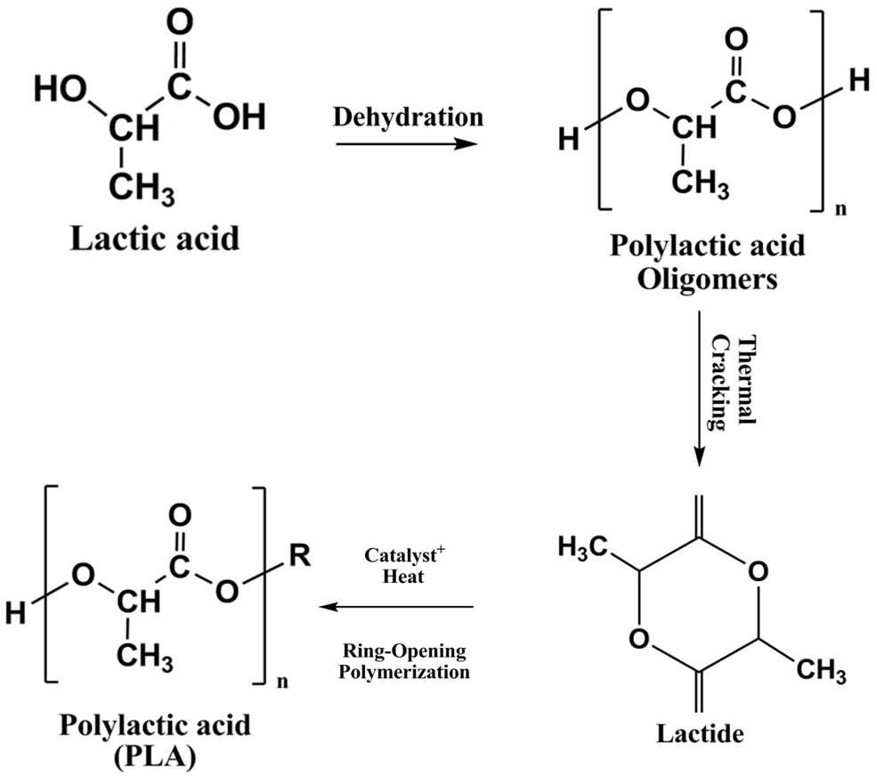 Synthetic scheme and chemical structure of poly(lactic acid).