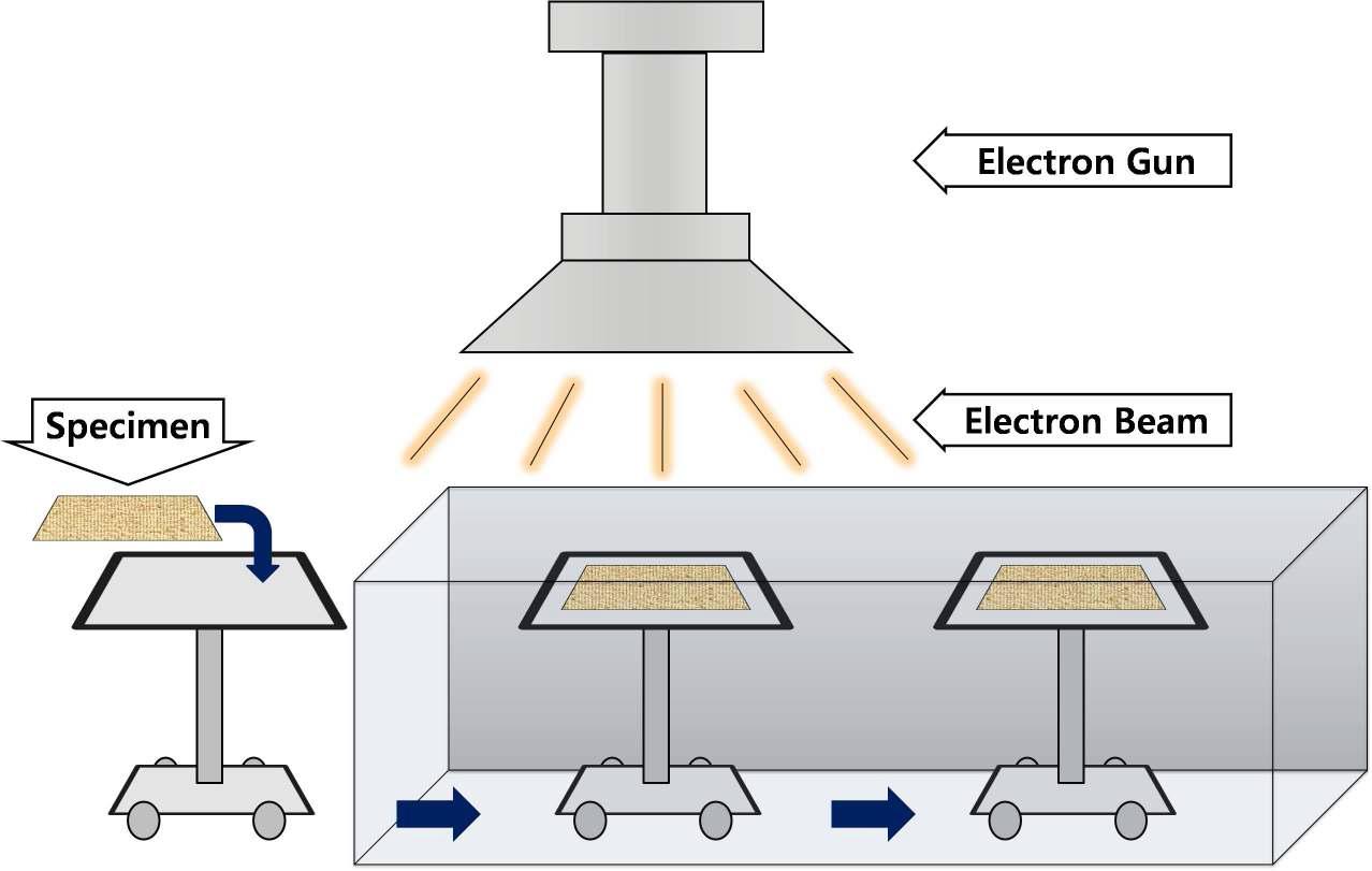 Apparatus for electron beam irradiation processing (EB Tech Co.) used in the present study.