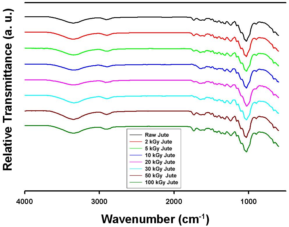 ATR-FTIR spectra of untreated and electron beam treated jute fibers at various EBI doses.