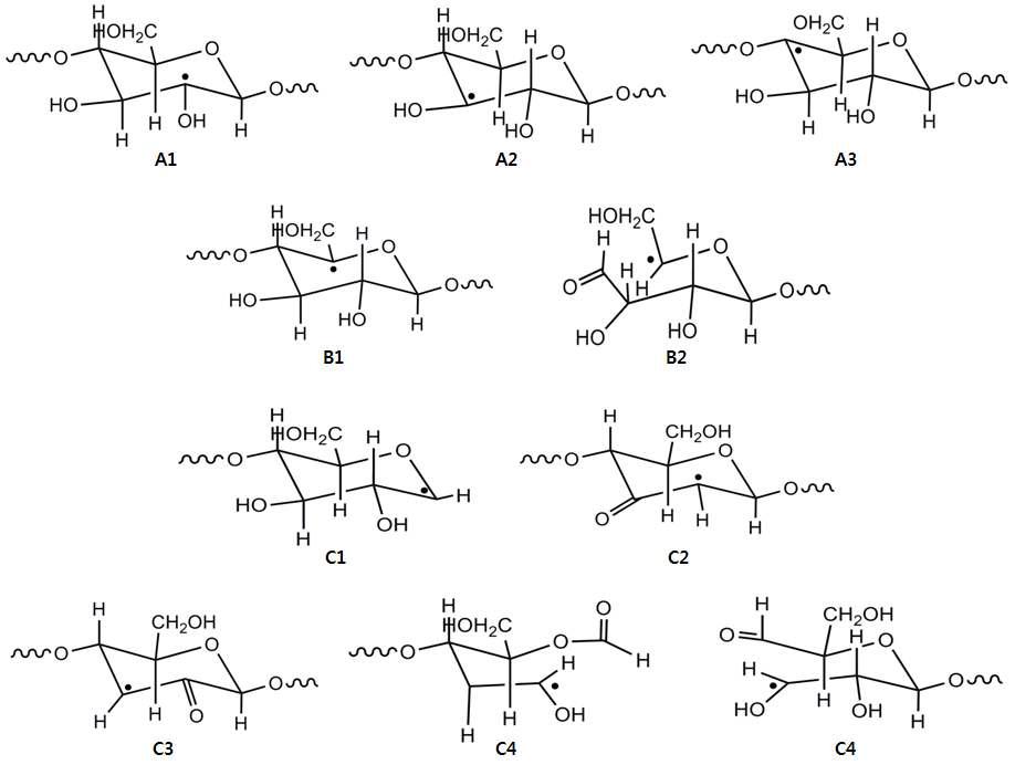 Possible structures for radicals A, B and C observed upon electron beam irradiation of jute.