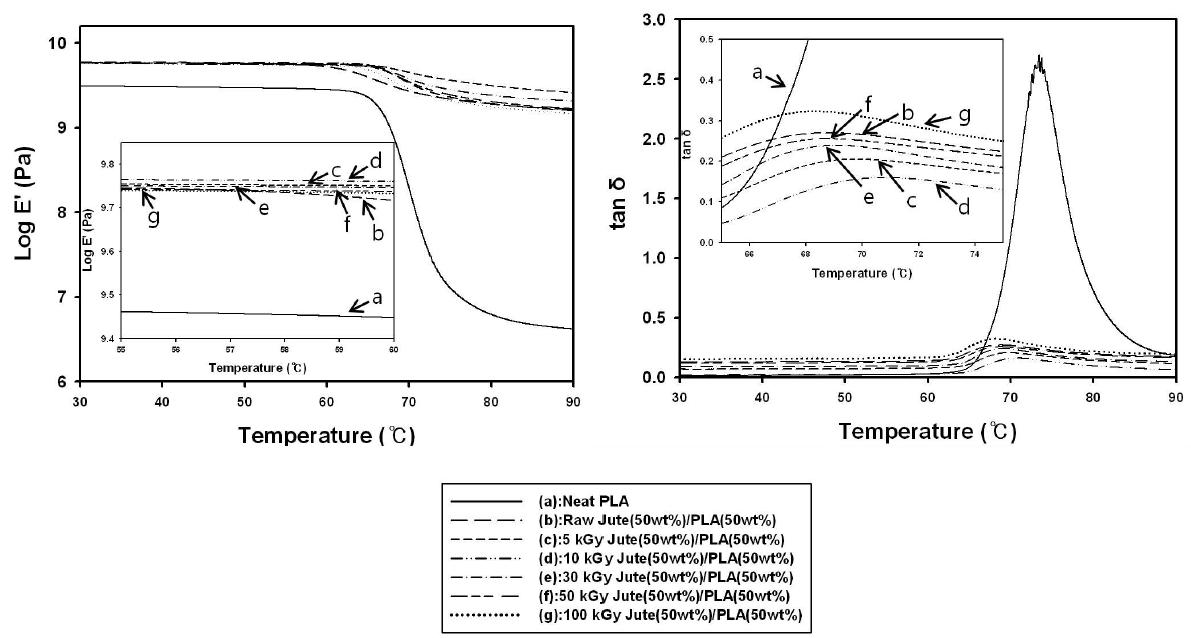 Storage modulus and tan δ measured for 2-D jute/PLA green composites with jute fabrics treated at different electron beam dosages.