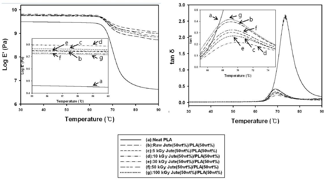 Storage modulus and tan δ measured for random jute/PLA green composites with jute fibers treated at different electron beam dosages