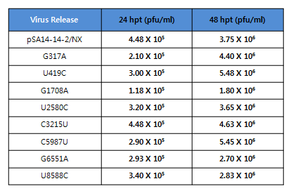 바이러스 타이터. SA14-14-2NX로부터 만들어진 8개의 mutant로 형질전환된 BHK-21 세포에서 생성되는 바이러스의 양.
