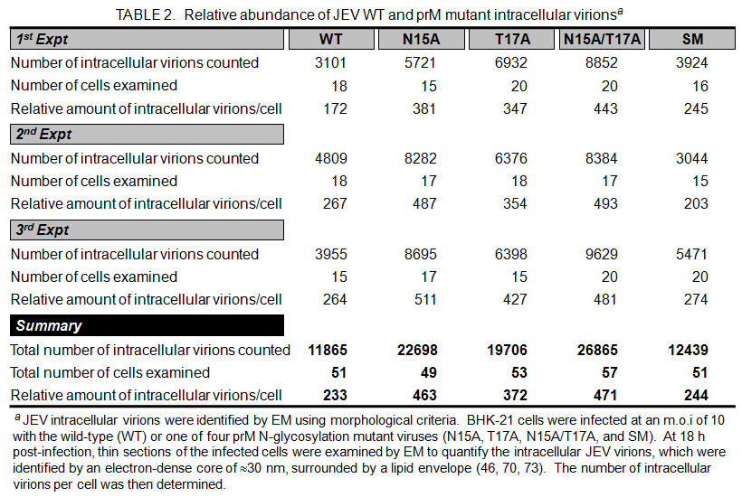 prM N-glycosylation mutant가 일본뇌염바이러스의 병원성에 어떻게 영향을 미치는 지를 알아보기 위해서, 마우스 감염모델 시스템을 사용하여 이들의 50% lethal dose(LD50)와 mean survival time을 wild type과 비교하였다