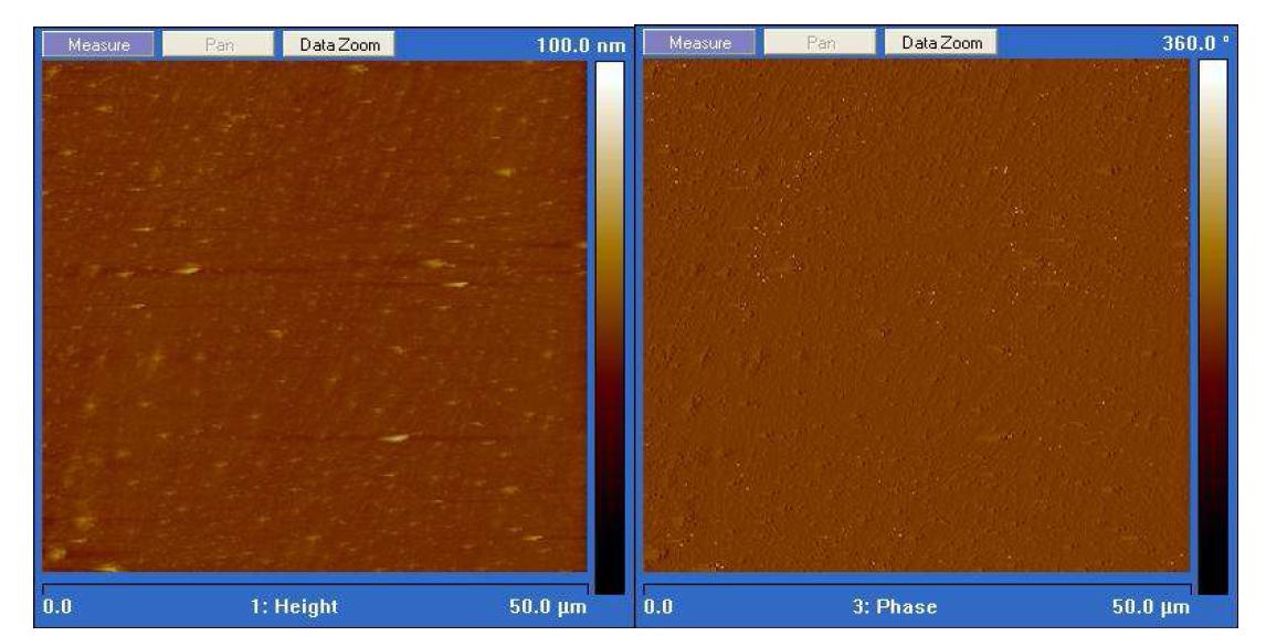 점착성을 갖는 PDMS 표면의 AFM의 tapping mode topology abd phase image