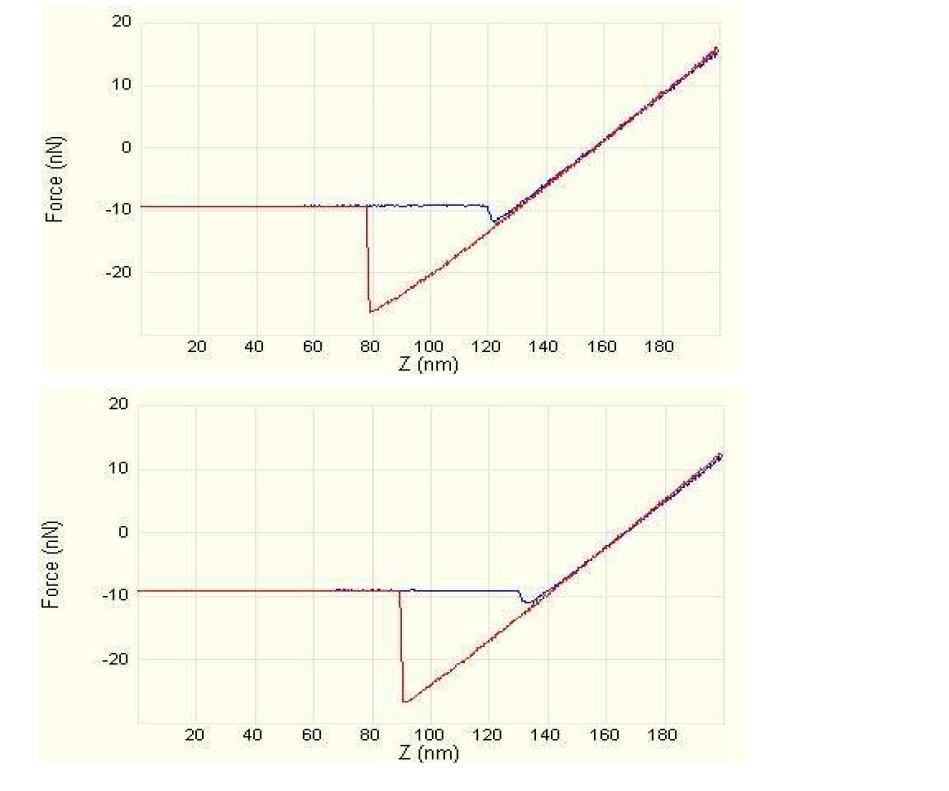 Single Point Indentation으로 얻은 force-distance curve