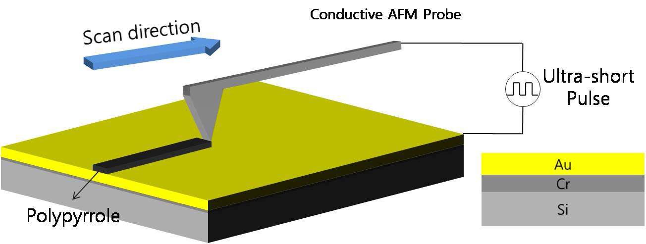 AFM을 이용한 electropolymerization 나노 패터닝에 대한 모식도