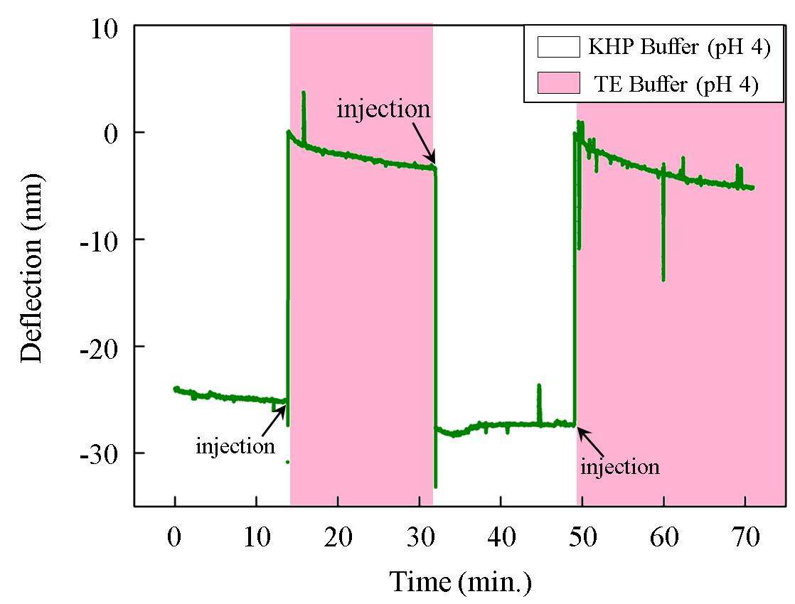 Cantilever bending deflection change induced by change in the concentration of cation in low ionic concentration