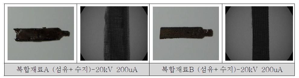 소프트 시료 16 종과 X-선 투과영상 모음