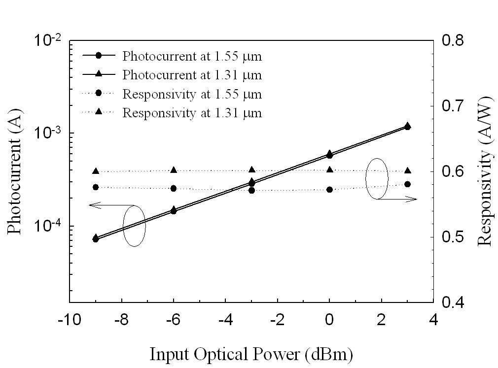 1.31-과 1.55-μm 파장에서 입사되는 광전력에 따른 직경 50-μm PIN 수광소자의 광전류 및 광응답도 (-5 V 역전압 상태)